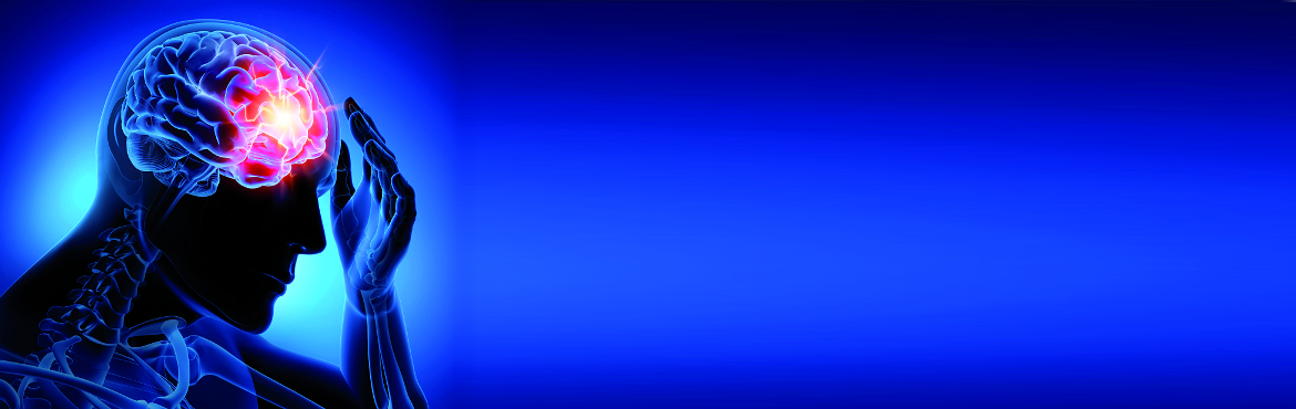 Suchergebnis